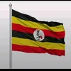 survivor9744