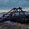bellewinterlee