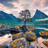 Naturehollic