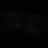 magicschoolbussdropoutt