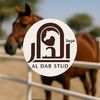 aldar.stud