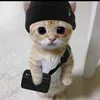 halamadr651