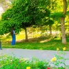 maksadowna_050