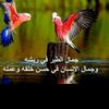 user2657879343735