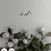 hiba.qasim81