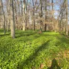 my_plantlive_pyro