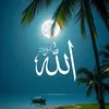 rehmatullahchoha6