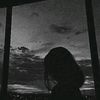 zall_546