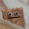 unempuzzled