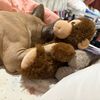secret_account8634
