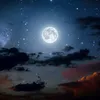 luna_102104