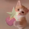 mahhniii_dk