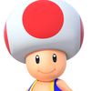 toadfan1942