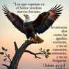 eldavit55522