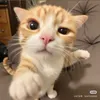 chictouch18