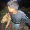 adam_piw