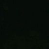 zeano_yoxeiro.1503