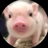 ngvoothdanhh_