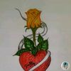 catarinarodriguez62