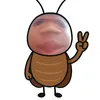 vanmanhdzainhatthegiioi