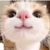cuyy.lovely