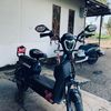 zulpiya2