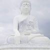 oat.tara.min.thar