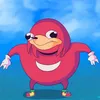 rudiszs