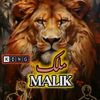 haroon.mamoon0
