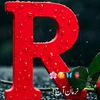 R 💘Tamang