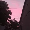 arodisiii0