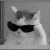 heheboytuine