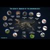 indominusrex_2014