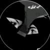 youssefzed318