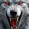 whitewolf4918