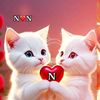 nabila.nabila446