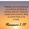 sonia.cortes114