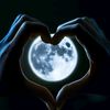 .ameerll0