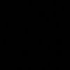 njirr334