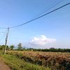 sesil_127