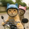 tieu.12345