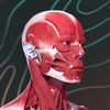 Easy Anatomy App