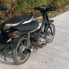 relzz2833