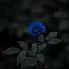 alppcr7