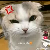 1212.ngocthocute
