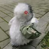 hoully__thice