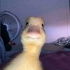 dila.muna35