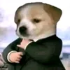 dainghiep01