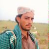 jiyand.teghani
