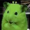 neonikt